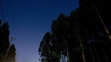 施設からの眺望 / 19