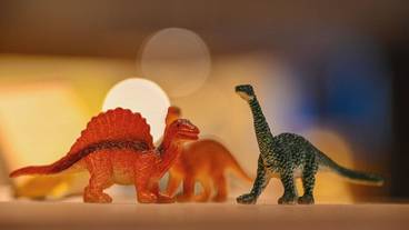 ギフト ショップ / 11