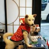 ゲストハウス 雅順(京都府 ゲストハウス・ホステル・ドミトリー) / 2