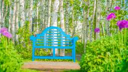 旭川で可愛いに出会う女子旅♡おすすめのホテル7選