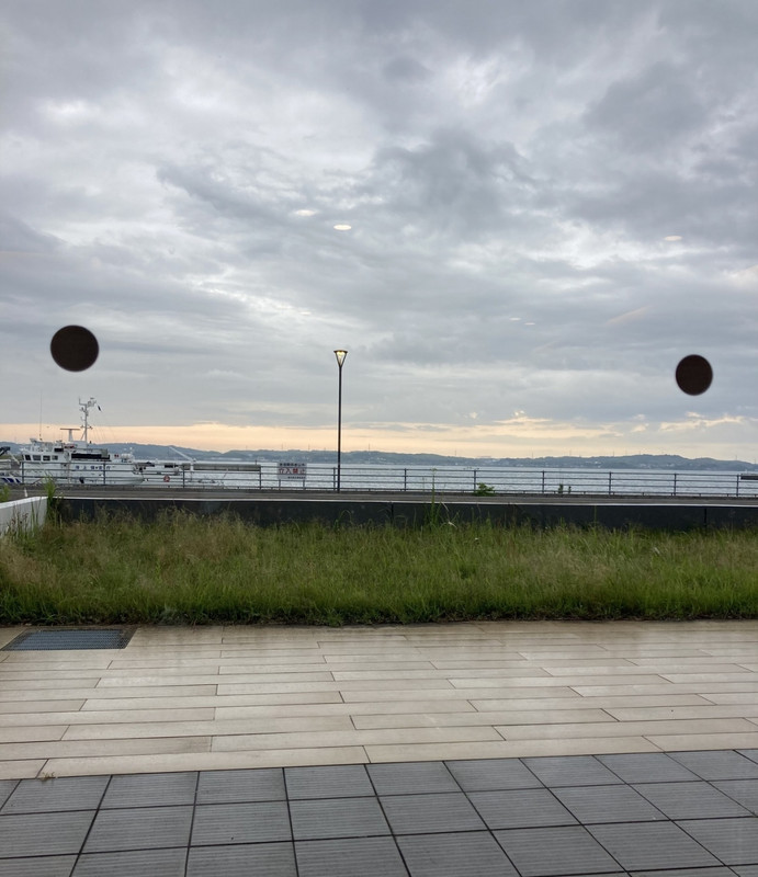 朝食会場の窓から