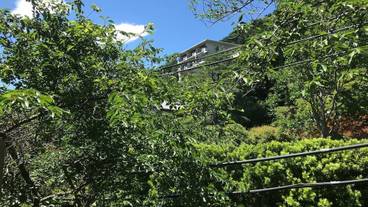 マウンテン ビュー / 9