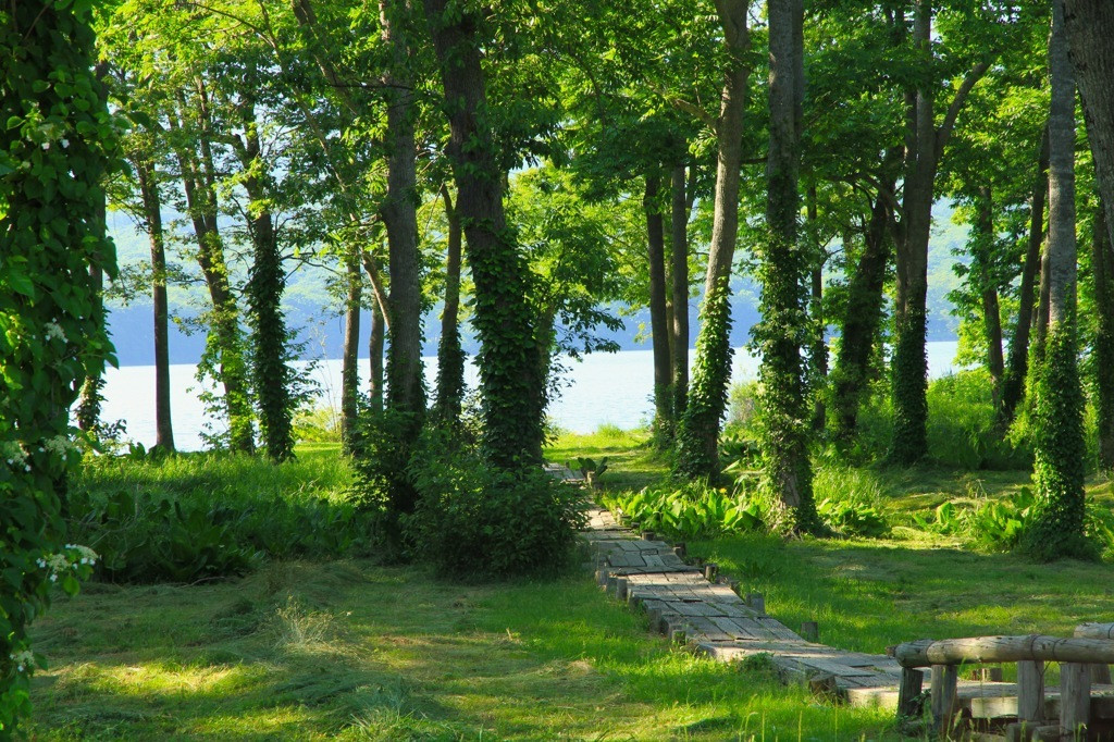 ホテルで疲れを癒しながら大沼を満喫3690835