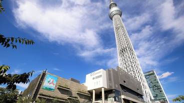 観光スポット / 7