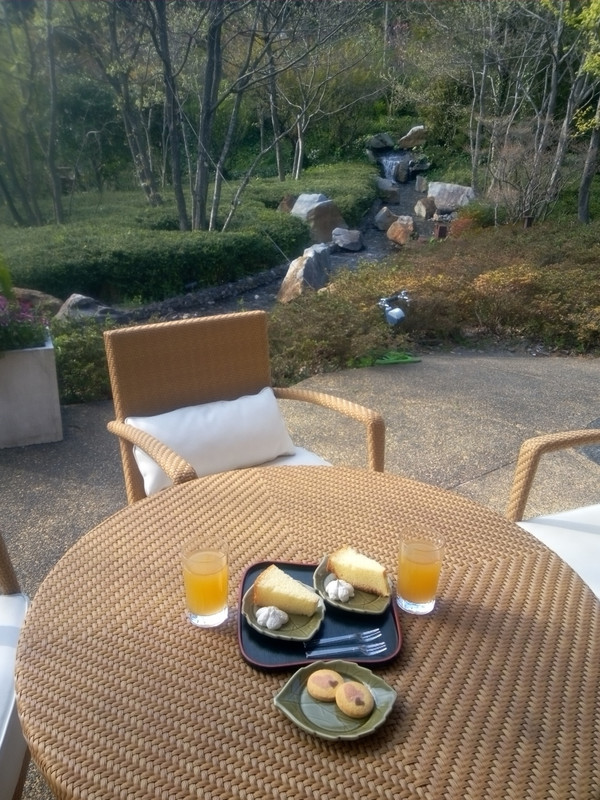 森のテラスのシフォンケーキ・クッキーです。