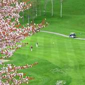 ヒルトンニセコビレッジ（北海道 シティホテル） / 3