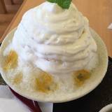 季の音(キノネ)