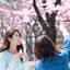 萩の月LOVER必見♡花見とセットで楽しむ「菓匠三全 工場直売所」