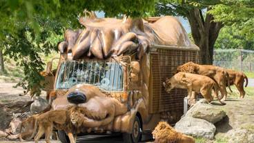 観光スポット / 1