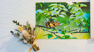 ツインルーム 禁煙