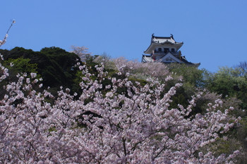 Area around "Tateyama" 3402538