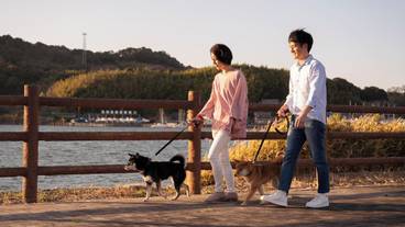 観光スポット / 2