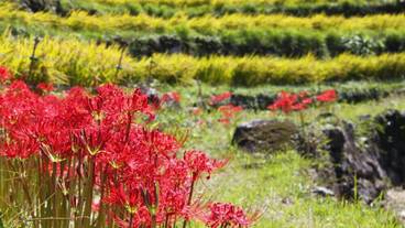 施設の敷地 / 21