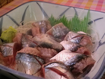 「金沢食堂」料理 679071 秋刀魚刺し