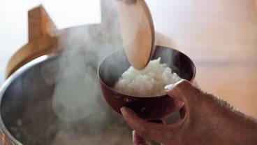 食事・飲み物 / 2