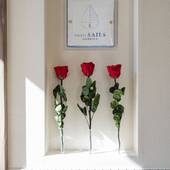 ホテルセイルズ浅草(東京都 旅館) / 2