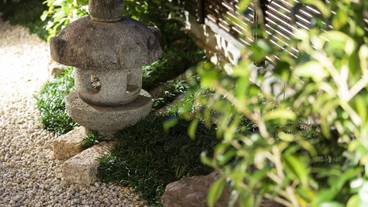 ガーデン ビュー / 10