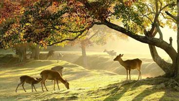 施設の敷地 / 13