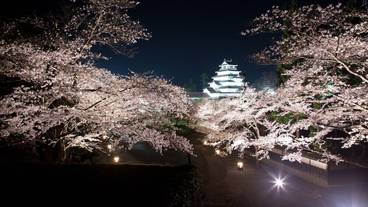 観光スポット / 2