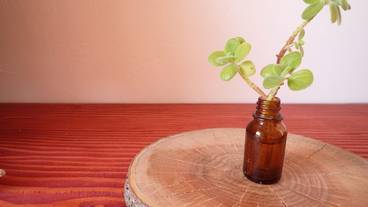 客室の設備とサービス / 20