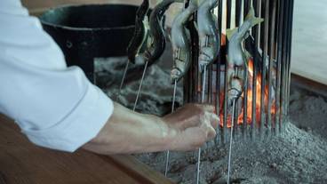 食事・飲み物 / 11