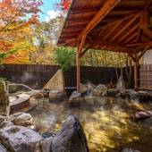 亀の井ホテル 日光湯西川 オールインクルーシブホテル（栃木県 リゾートホテル） / 2