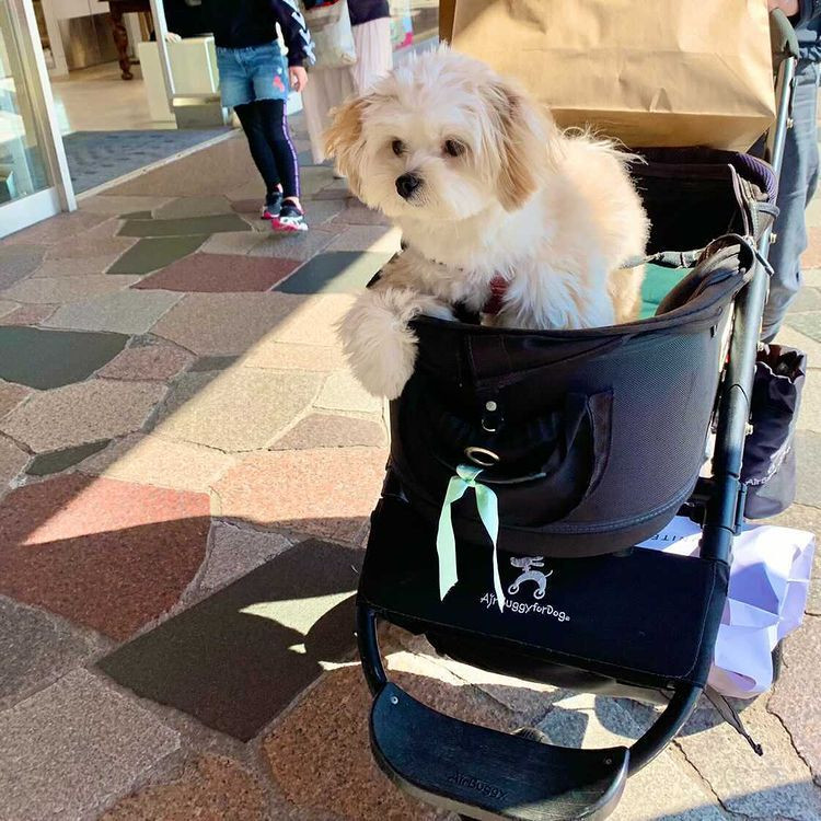 nicomaru1219さんの写真 / 2