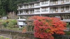 龍神小又川温泉 美人亭