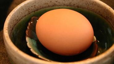 食事・飲み物 / 17