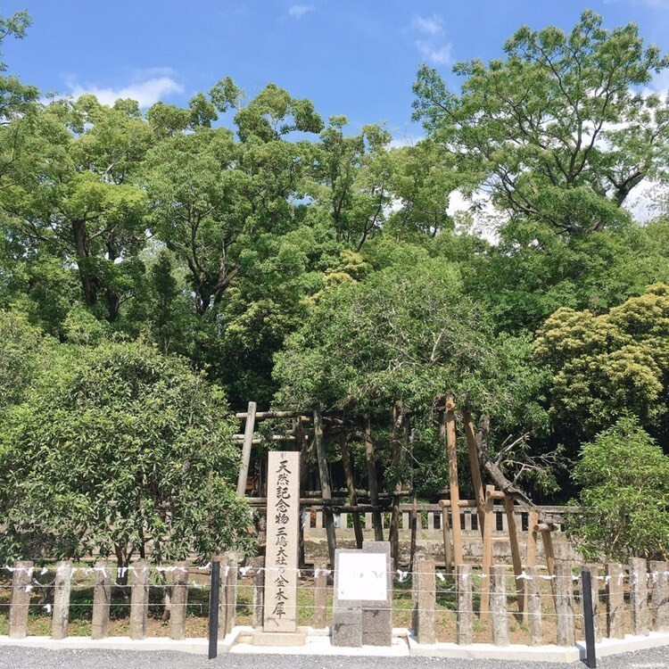 4rerjoseさんの写真 / 7