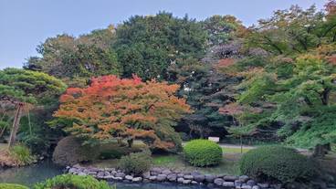 観光スポット / 8