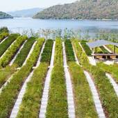 界 遠州（静岡県 旅館） / 3