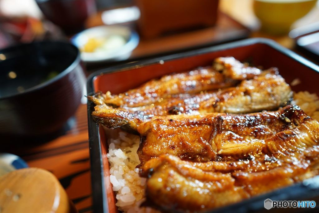 気軽な女子ひとり旅におすすめ♪「静岡県・浜松」3515812