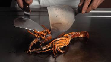 食事・飲み物 / 30