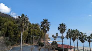 部屋からの景観 / 27