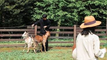 子供用の遊び場 - 屋外 / 6