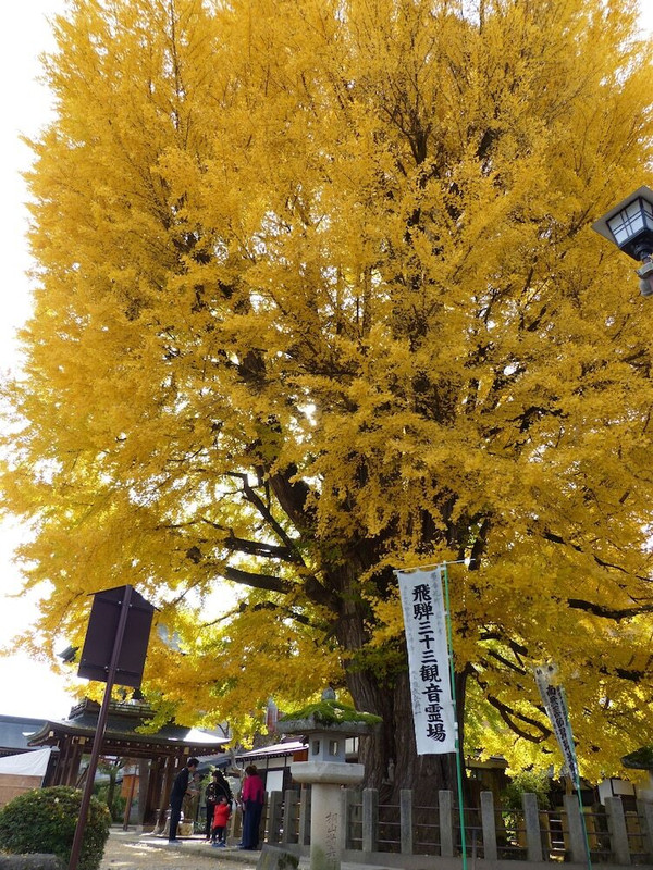 施設からの眺望