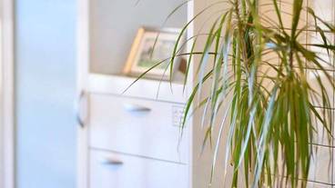 内装の詳細 / 20