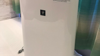 シングル B ソファタイプ 2名様 禁煙