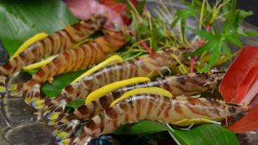 レストラン / 12