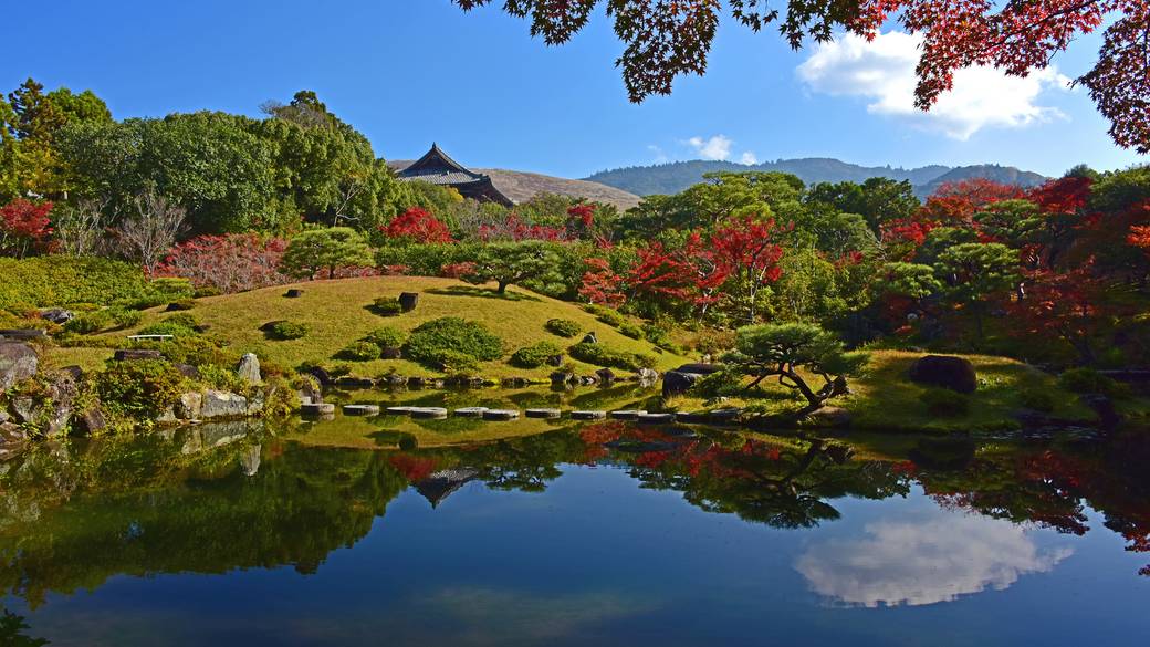 奈良公園の紅葉 / 3