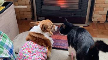 施設内の設備 / 18