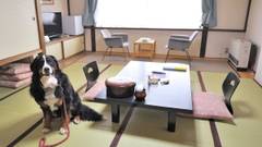 蔵王温泉 最上高湯 善七乃湯（旧：蔵王温泉 大平ホテル）