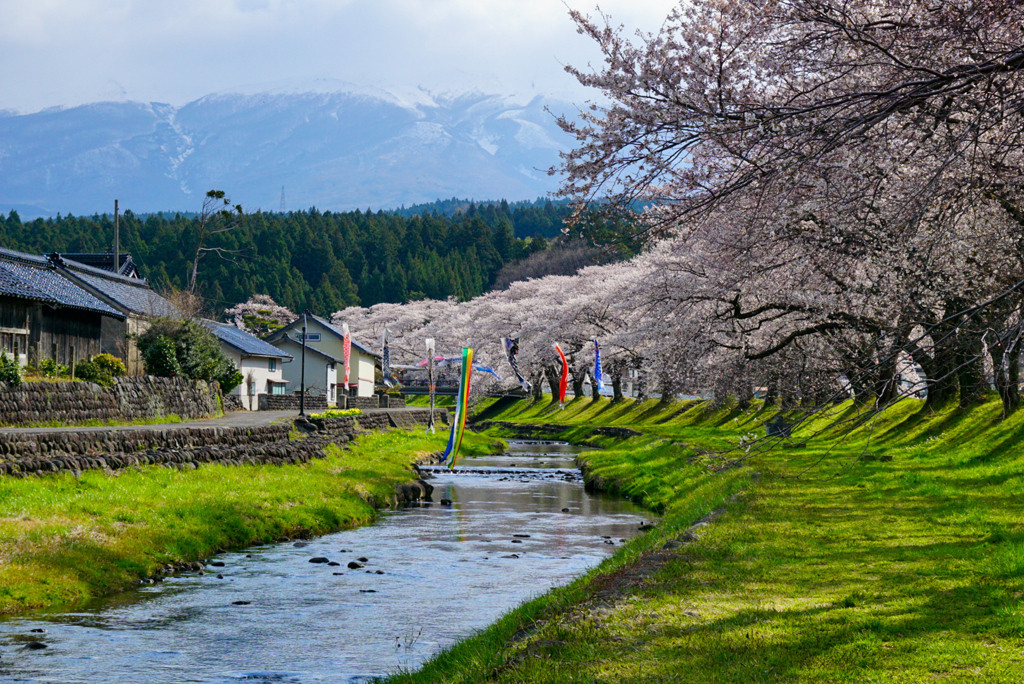魅力がいっぱいの”さくらんぼ県”2155008