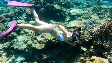 サーフィン / ボディボード / 6