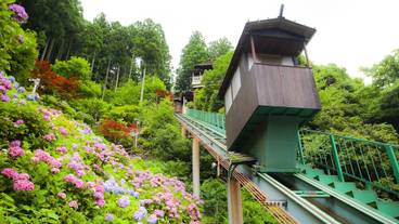 施設の敷地 / 32