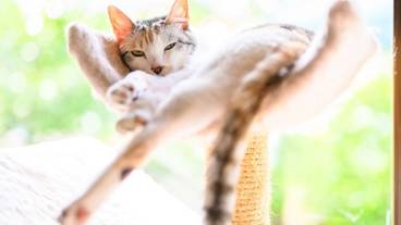 施設内の設備 / 23