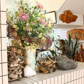 民宿 たけすぎ（屋久島）（鹿児島県 民宿） / 2