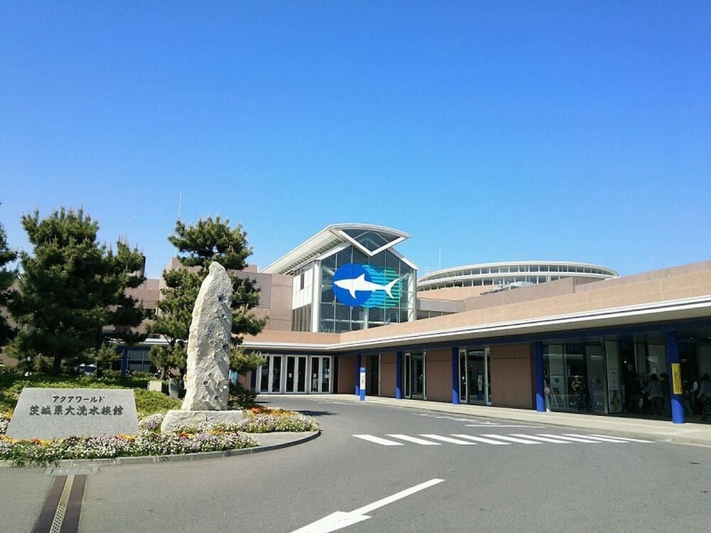 子供向けアクティビティ