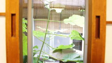 施設からの眺望 / 13